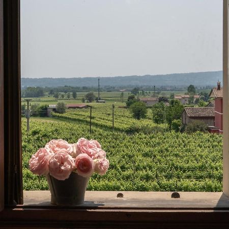 Villa Fiori&Vigne Di Cecilia Marcon Farra di Soligo Exterior foto