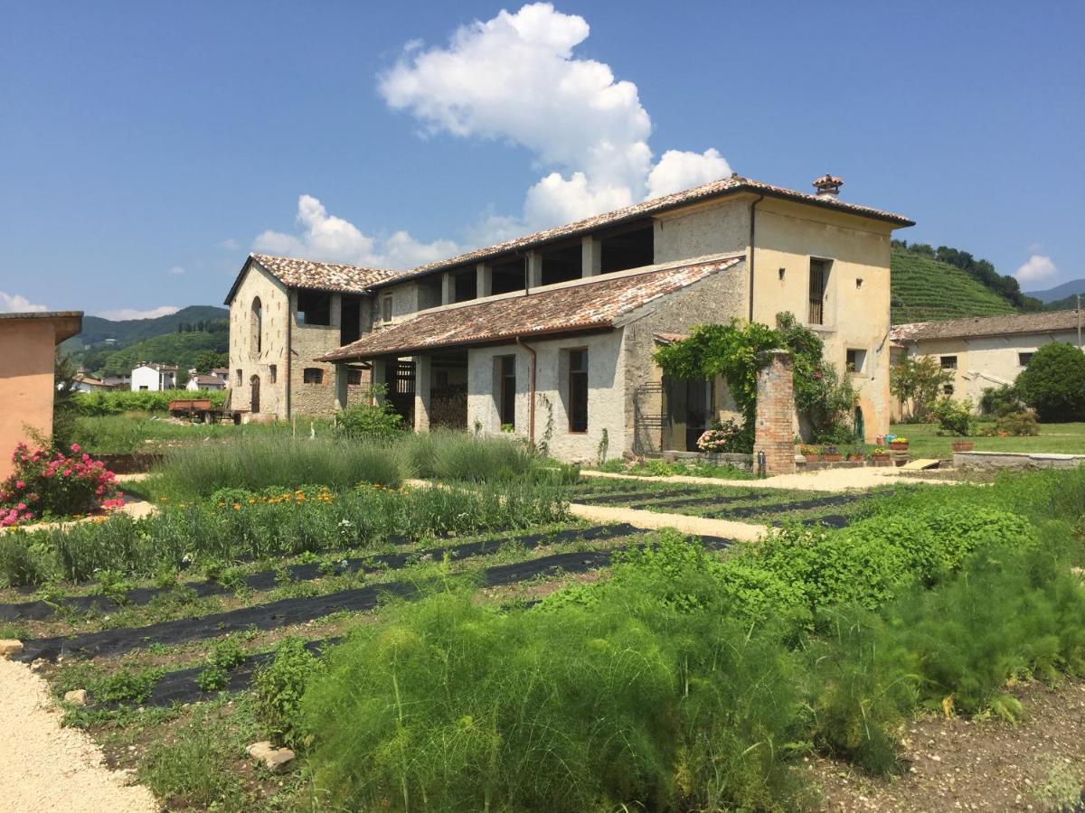 Villa Fiori&Vigne Di Cecilia Marcon Farra di Soligo Exterior foto