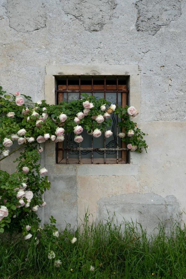 Villa Fiori&Vigne Di Cecilia Marcon Farra di Soligo Exterior foto