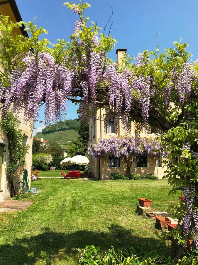 Villa Fiori&Vigne Di Cecilia Marcon Farra di Soligo Exterior foto